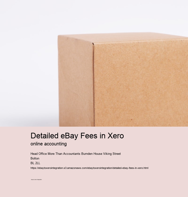 Detailed eBay Fees in Xero