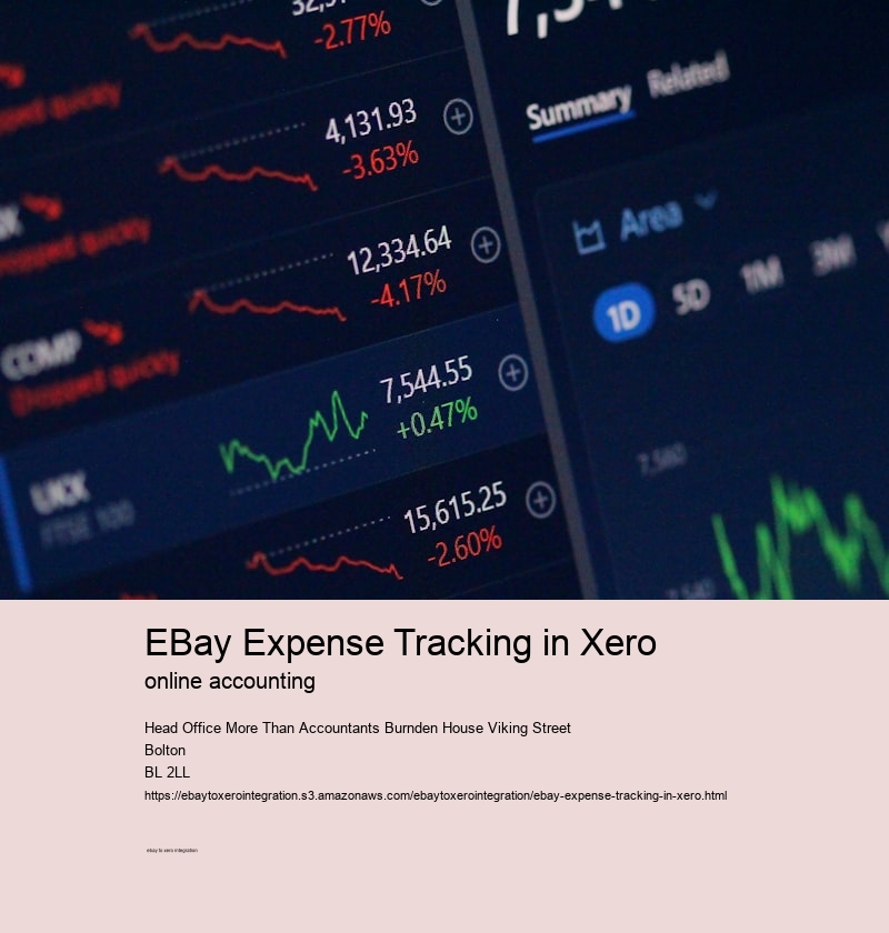 eBay Expense Tracking in Xero