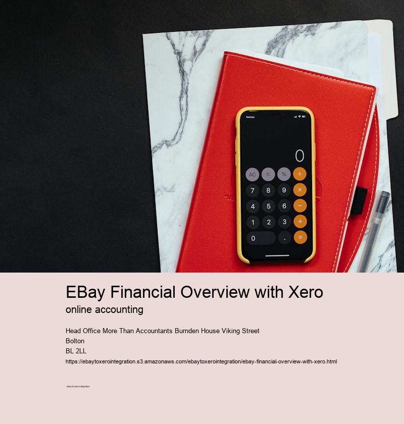 eBay Financial Overview with Xero