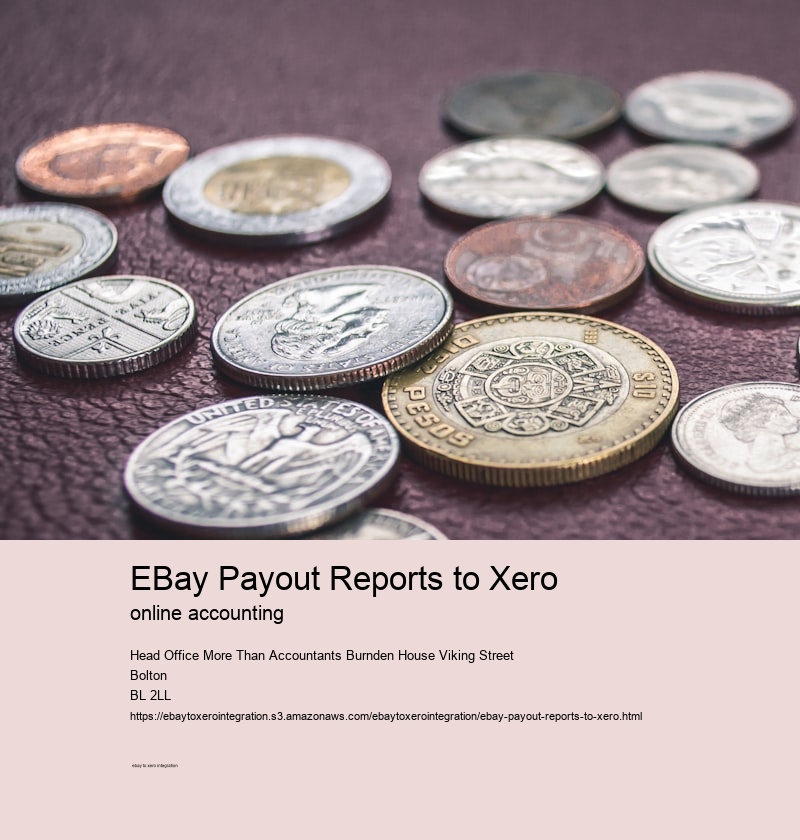 eBay Payout Reports to Xero